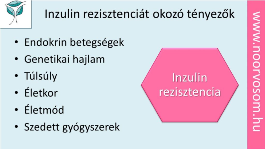 Inzulin rezisztancia